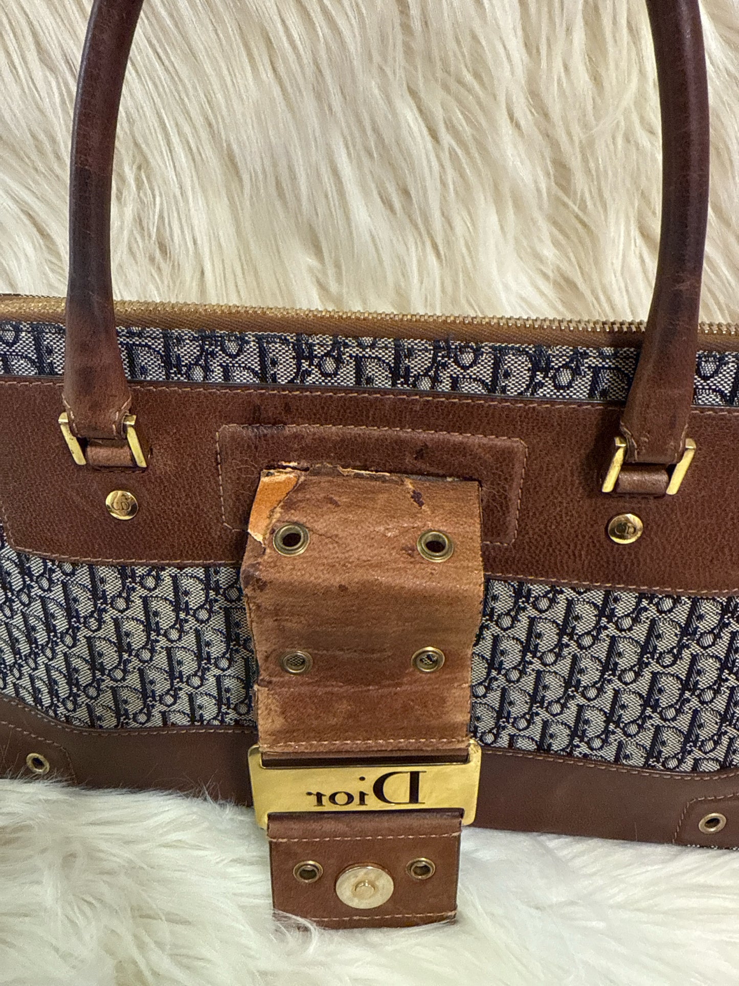 CHRISTIAN DIOR DIORISSIMO STREET CHIC DOME TROTTER BAG