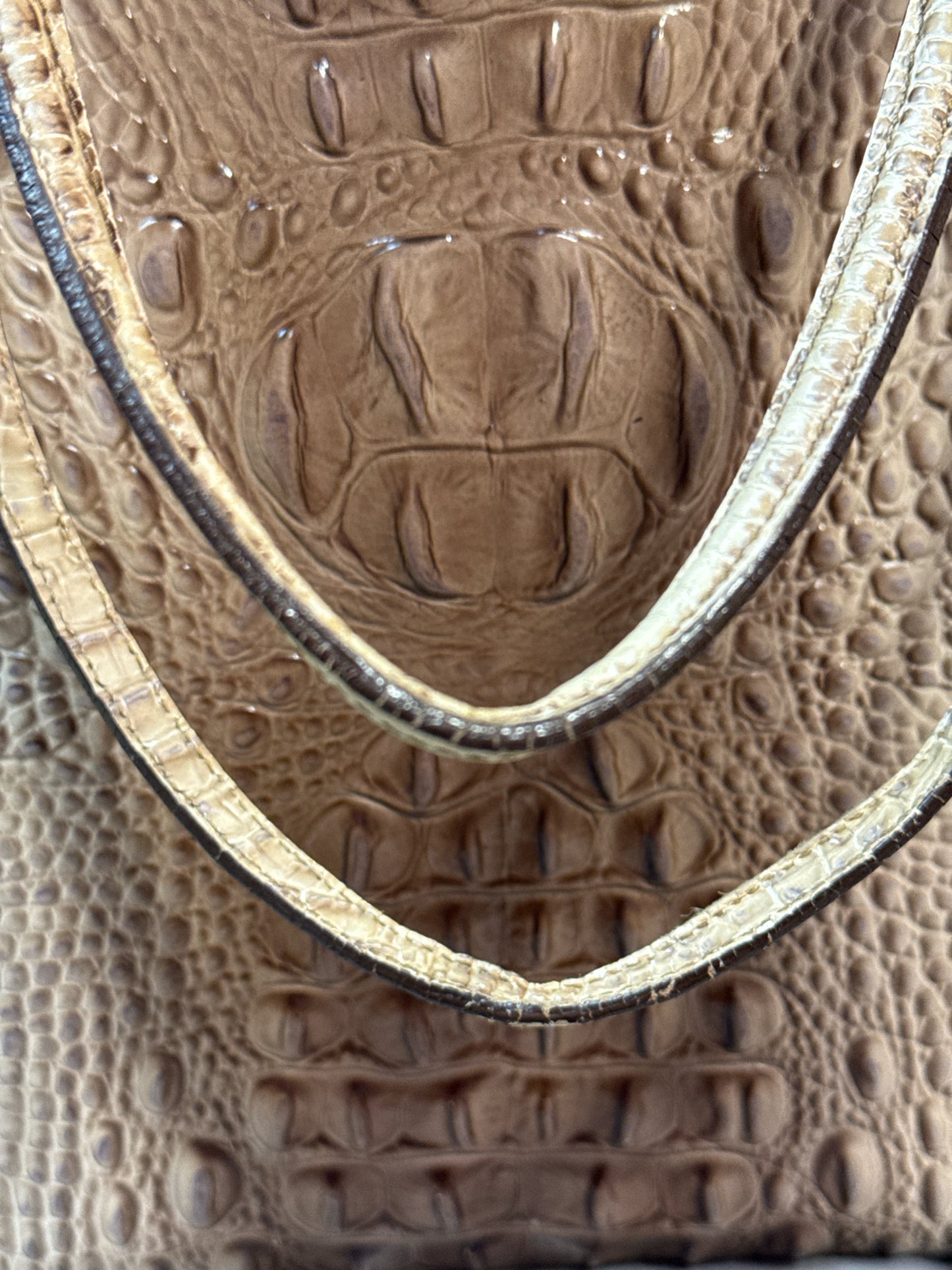 Brahmin Asher Tote in Toasted Melbourne